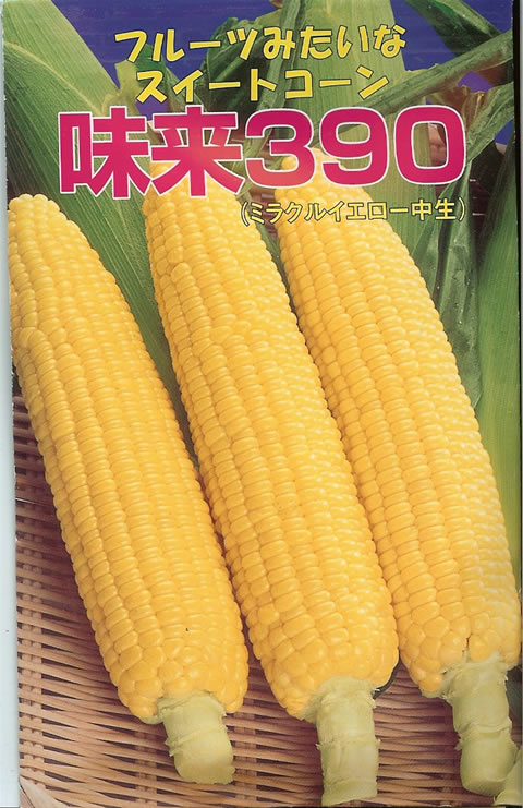スイートコーン種 味来390 小袋 | 野菜・果物の種,トウモロコシ ( 玉蜀黍 )【種】なら、みつのぶ