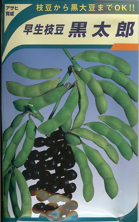 エダマメ種　早生枝豆　黒太郎（30ml）