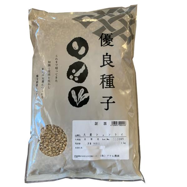 オオムギ種 【 六条大麦シュンライ 】 1kg （おおむぎ 大麦 栽培用 種子 食用向け品種 アサヒ）
