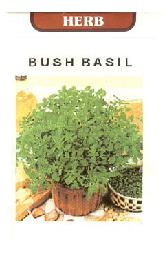 ハーブ種 【 ブッシュバジル 】 小袋 （栽培用 種子 はーぶ 藤田）