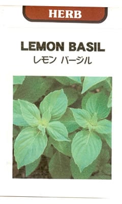 ハーブ種　レモンバジル