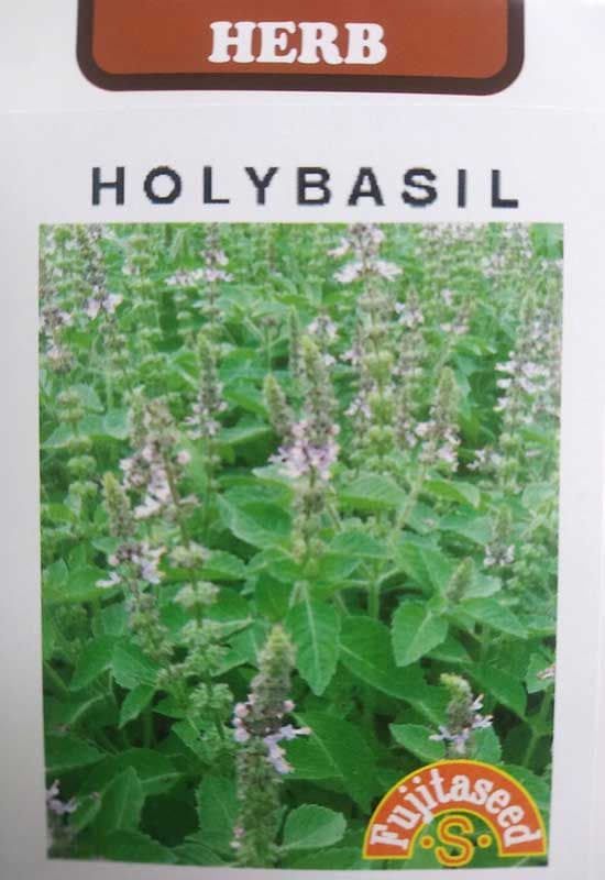 ハーブ種　ホーリーバジル 小袋 [種子 栽培用]