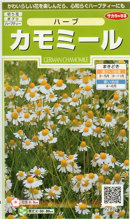 ハーブ種　カモミール(実咲小袋)サカタ