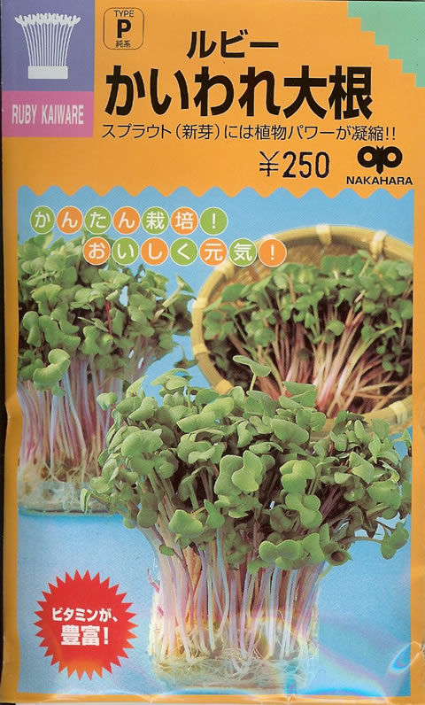 スプラウト種　ルビーかいわれ大根（小袋）