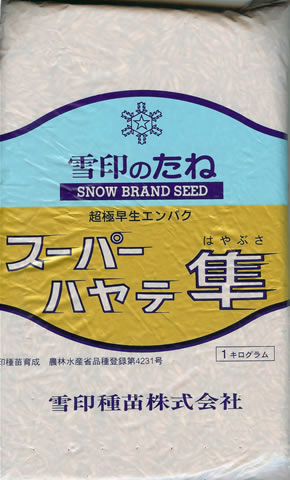 エンバク種 【 超極早生エンバク スーパーハヤテ隼 】 1kg （栽培用 種子 牧草 雪印）