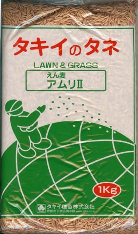 ※2025年1月以降入荷後発送　エンバク種 アムリ2 (1kg) 【タキイ種苗】 [えんばく えん麦 燕麦 牧草種子]