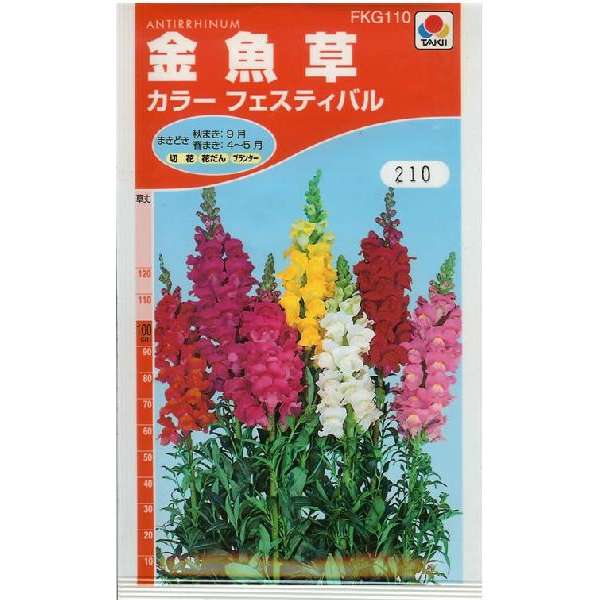 金魚草　カラーフェスティバル（0.6ml）