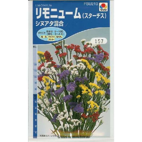 リモニューム（スターチス）シヌアタ混合（0.3ml）