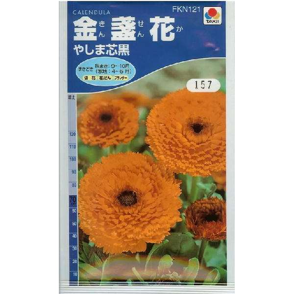 金盞花　やしま芯黒（3ml）