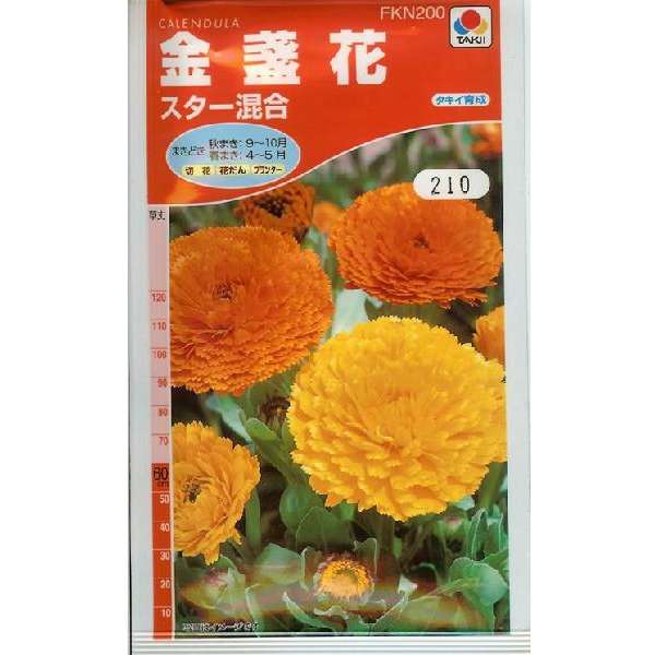 金盞花　スター混合（5ml）