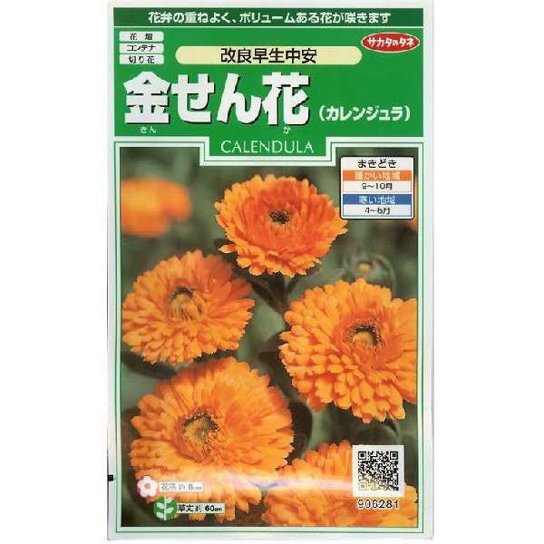 ※7月中旬以降入荷予定<br>金盞花　改良早生中安（実咲小袋）