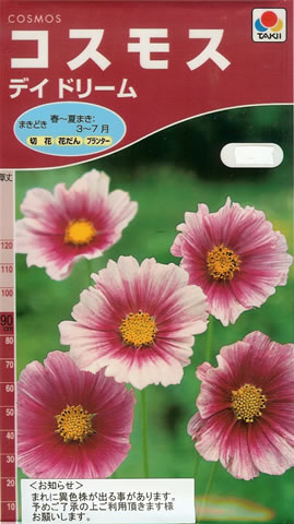 コスモス　デイドリーム（1.5ml）　～花のタネ～
