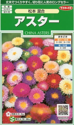 ※7月中旬以降入荷予定<br>アスター種 【 松本混合 】 実咲小袋 （栽培用 種子 花 サカタ）