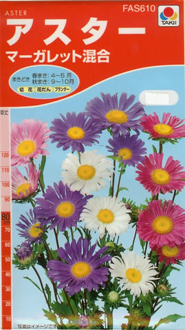 アスター　マーガレット混合（1ml）　～花のタネ～