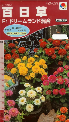 百日草　Ｆ１ドリームランド混合（2ml）　～花のタネ～