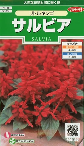 サルビア　リトルタンゴ(0.5ml)　～花のタネ～