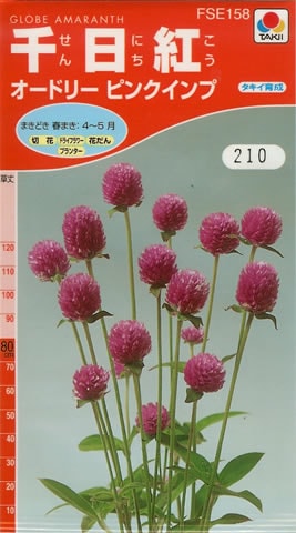 千日紅　オードリーピンクインプ(0.1ml)　～花のタネ～