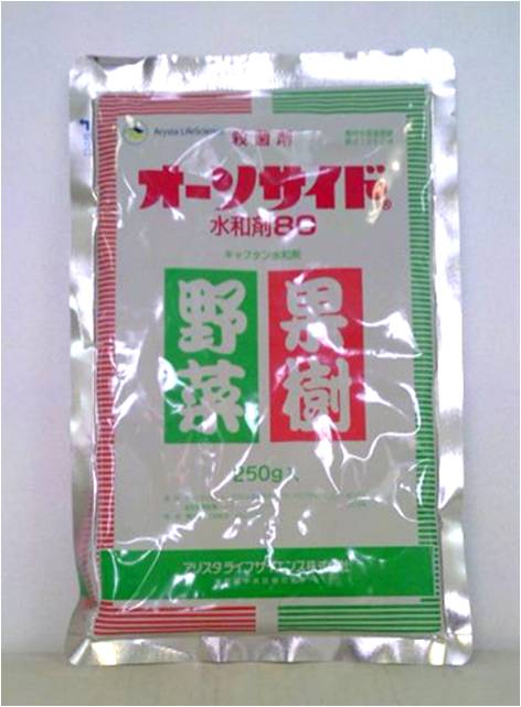 殺菌剤 【 オーソサイド水和剤８0 】 500g