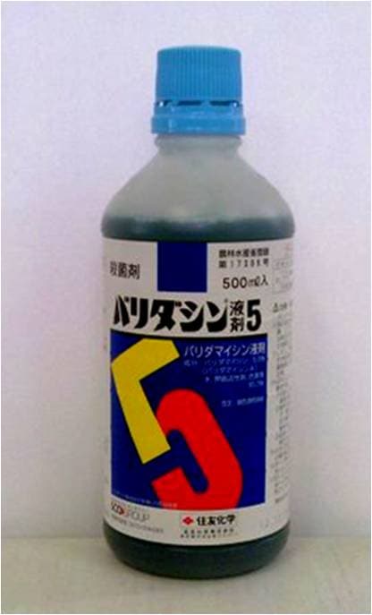 バリダシン液剤５　500ml【殺菌剤】