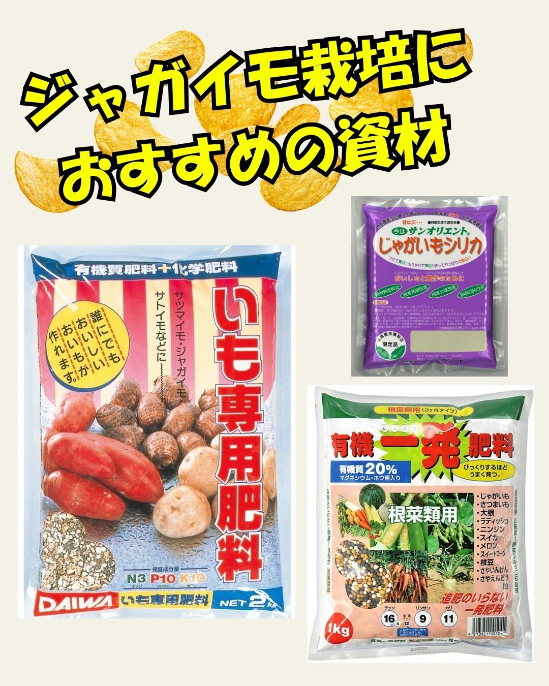 ※8月下旬発送<br>ジャガイモ種芋 【 アンデス赤 】 サイズ混合　5キロ　（種芋 栽培用）【検品合格済品】