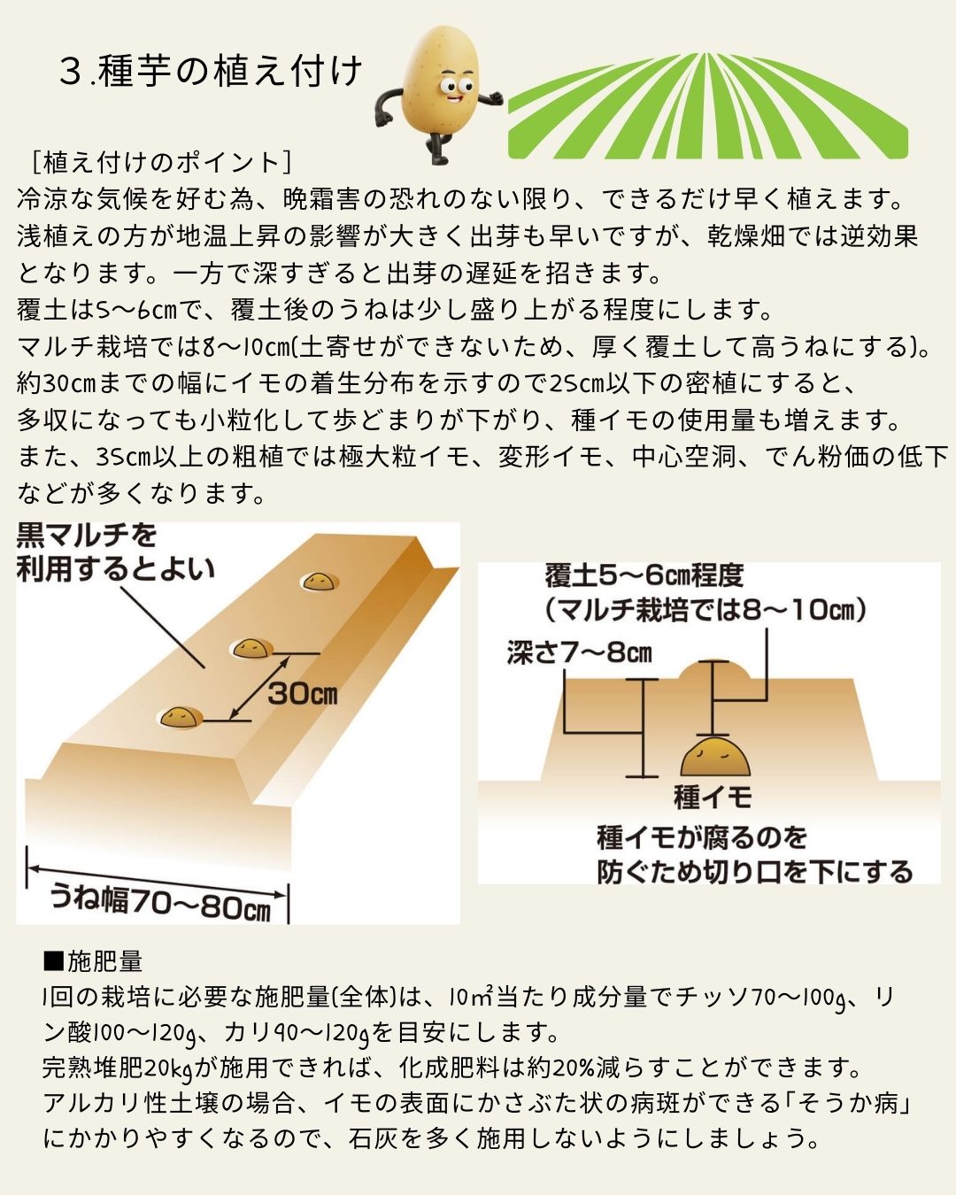 ※8月下旬発送<br>ジャガイモ種芋 【 アンデス赤 】 サイズ混合　5キロ　（種芋 栽培用）【検品合格済品】