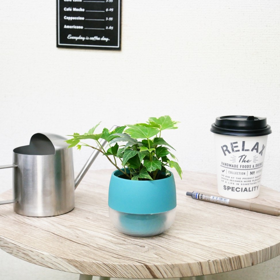 商品一覧,鉢（材質で選ぶ）,プラスチック | HAOMIRU