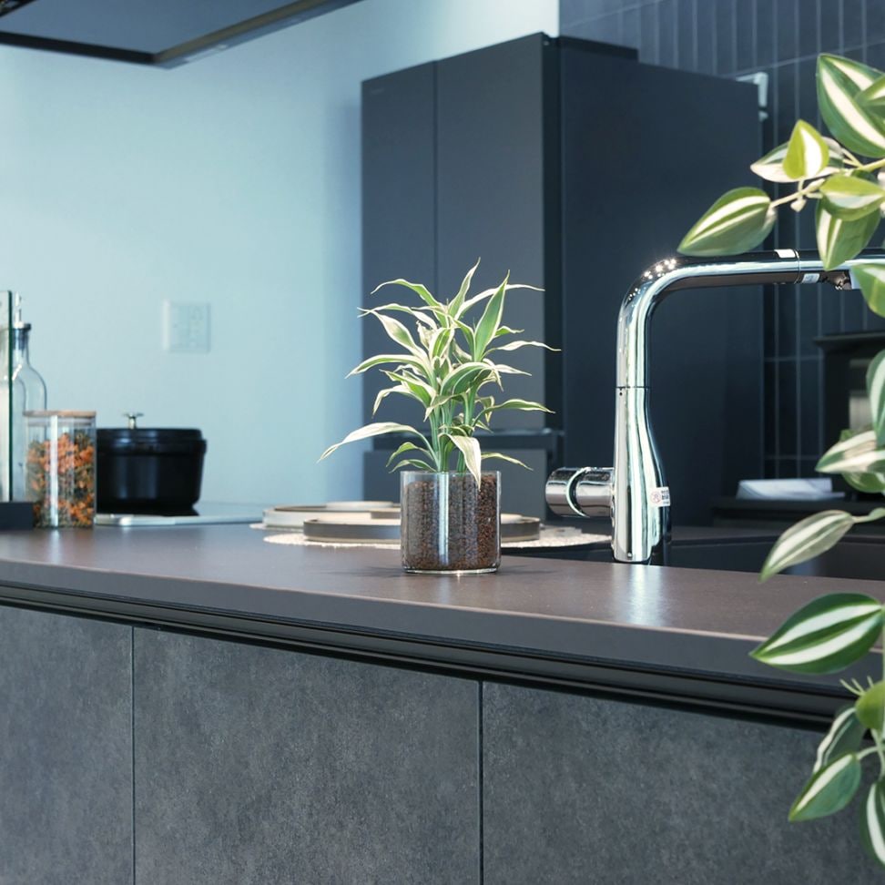 サークル80　ハイドロコーン植え【サンデリアーナ　ホワイト】