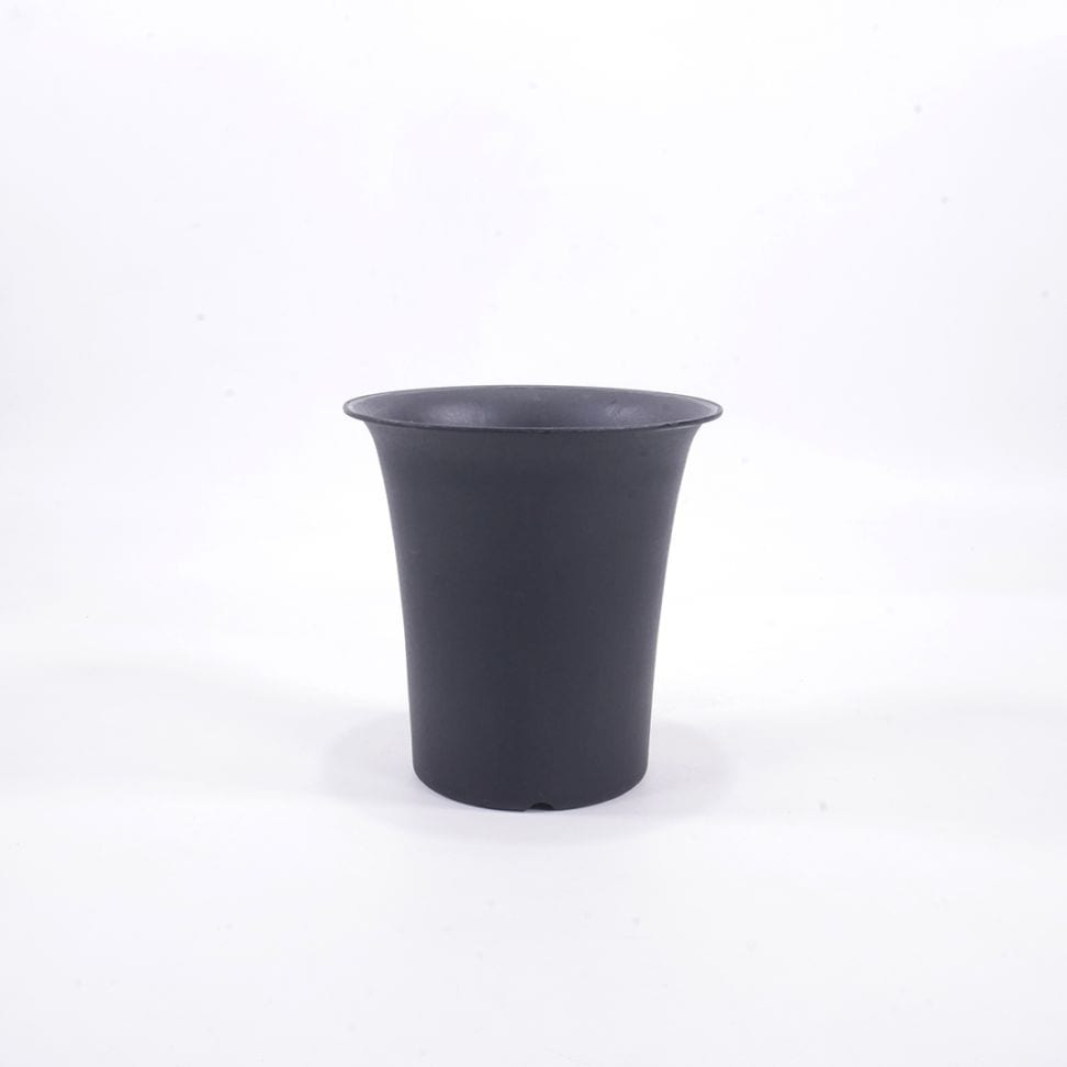 土苗用栽培容器　PAOパオケンガイ【6号】黒