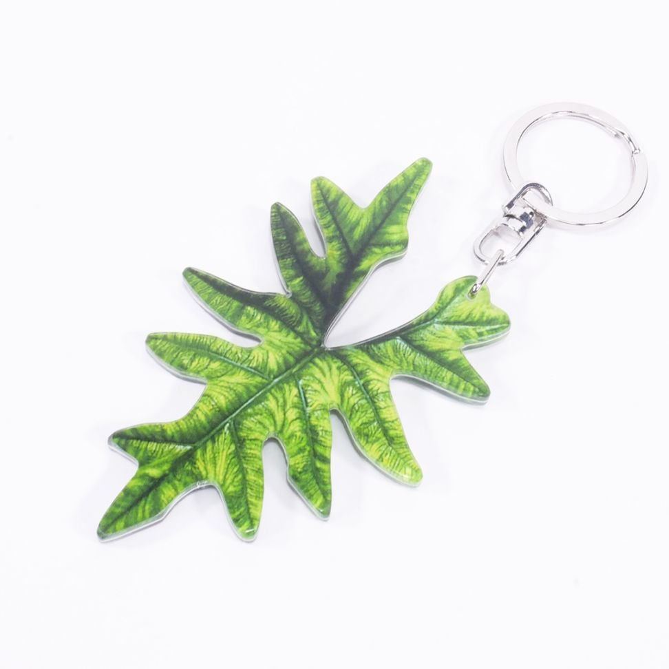 アロイドキーホルダー【アロカシア　'ジャックリン’】【メール便可】