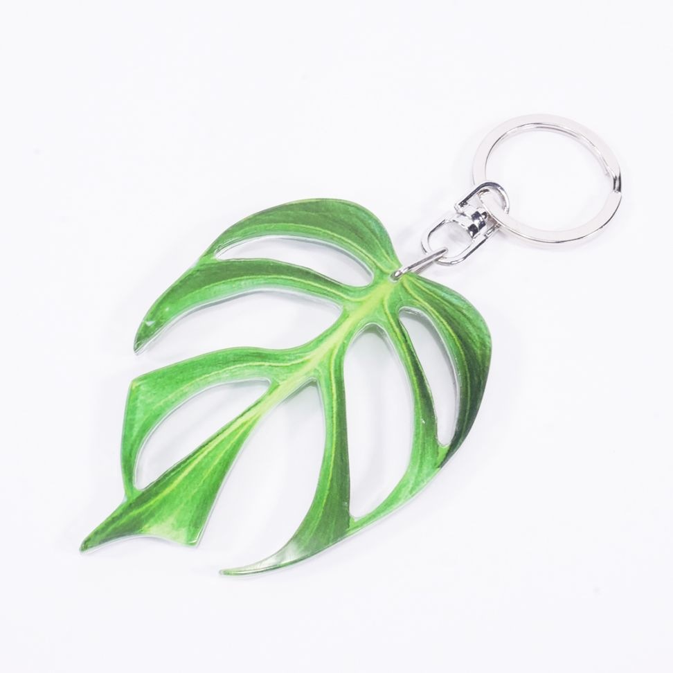 アロイドキーホルダー【モンステラ　'バールマルクス　フレーム’】【メール便可】