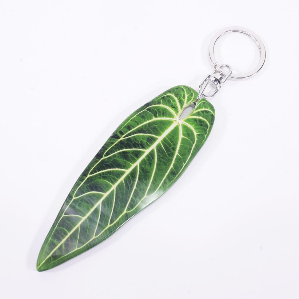 アロイドキーホルダー【アンスリウム・ワロクアナム】【メール便可】