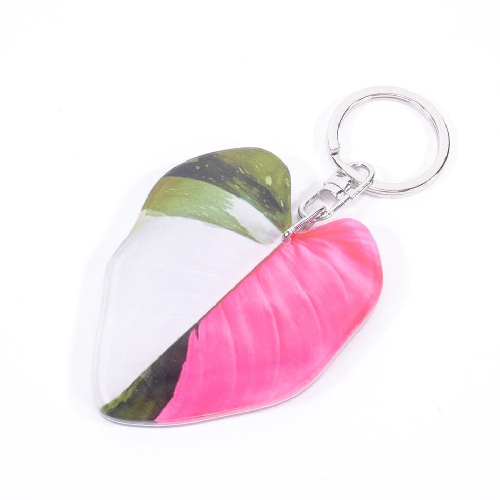 アロイドキーホルダー【フィロデンドロン　'ホワイト プリンセス’】【メール便可】