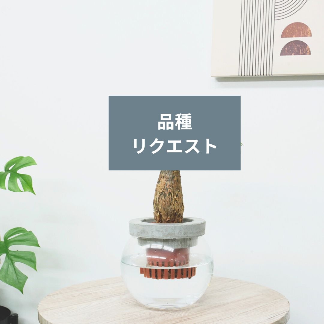 器の素材で選ぶ,ガラスの鉢 | HAOMIRU