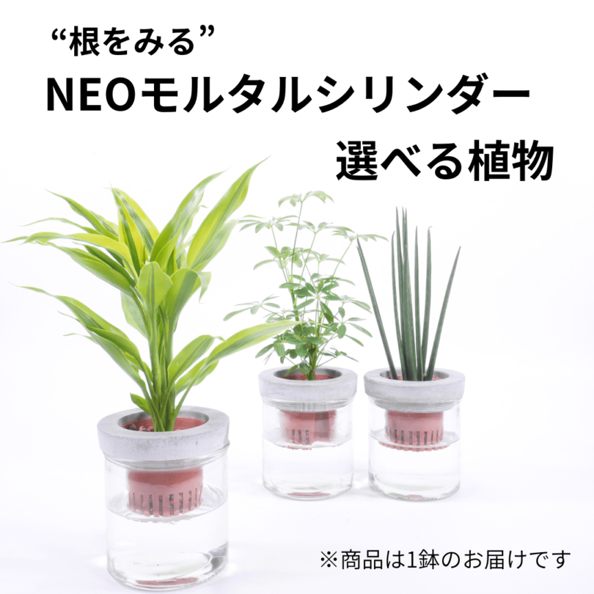 【選べるグリーン】NEOモルタルシリンダー