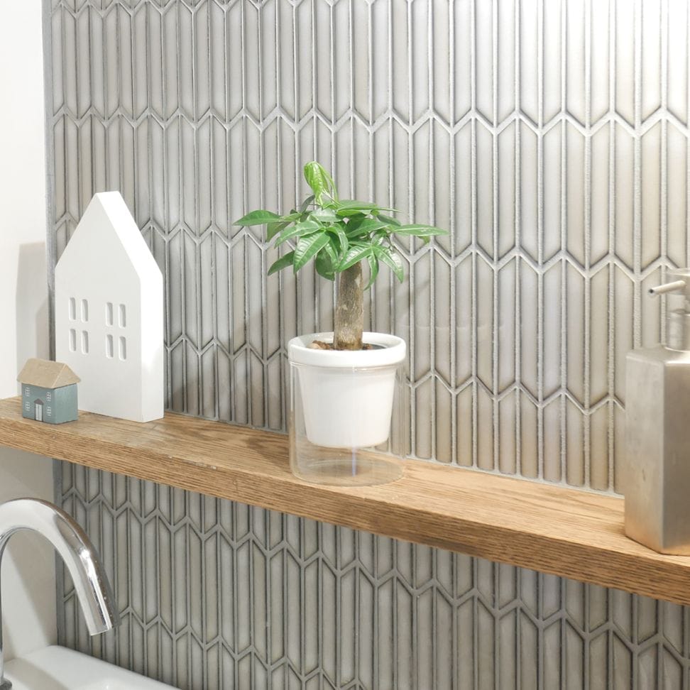 【色が選べる】NEOルーツ80【パキラ】