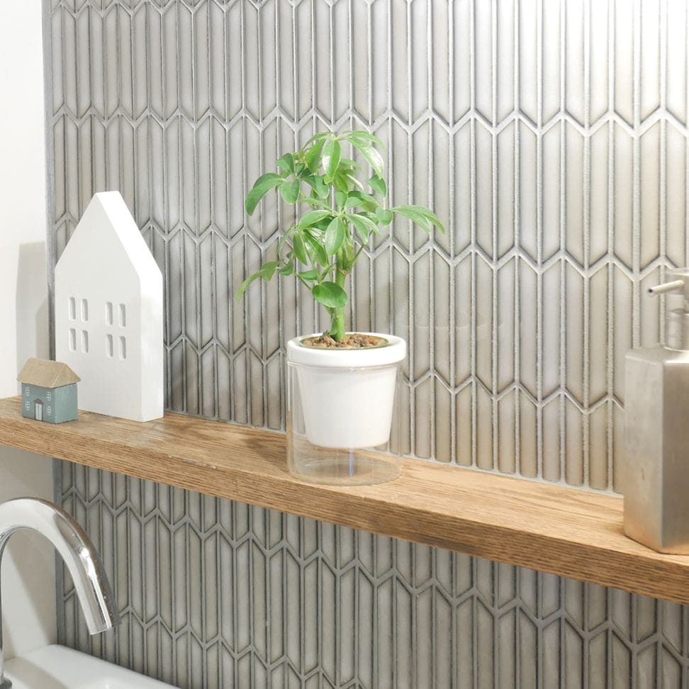 【色が選べる】NEOルーツ80【シェフレラ】