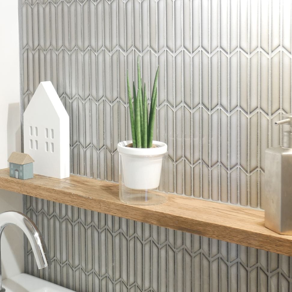 【色が選べる】NEOルーツ80【サンセベリア　バキュラリス】