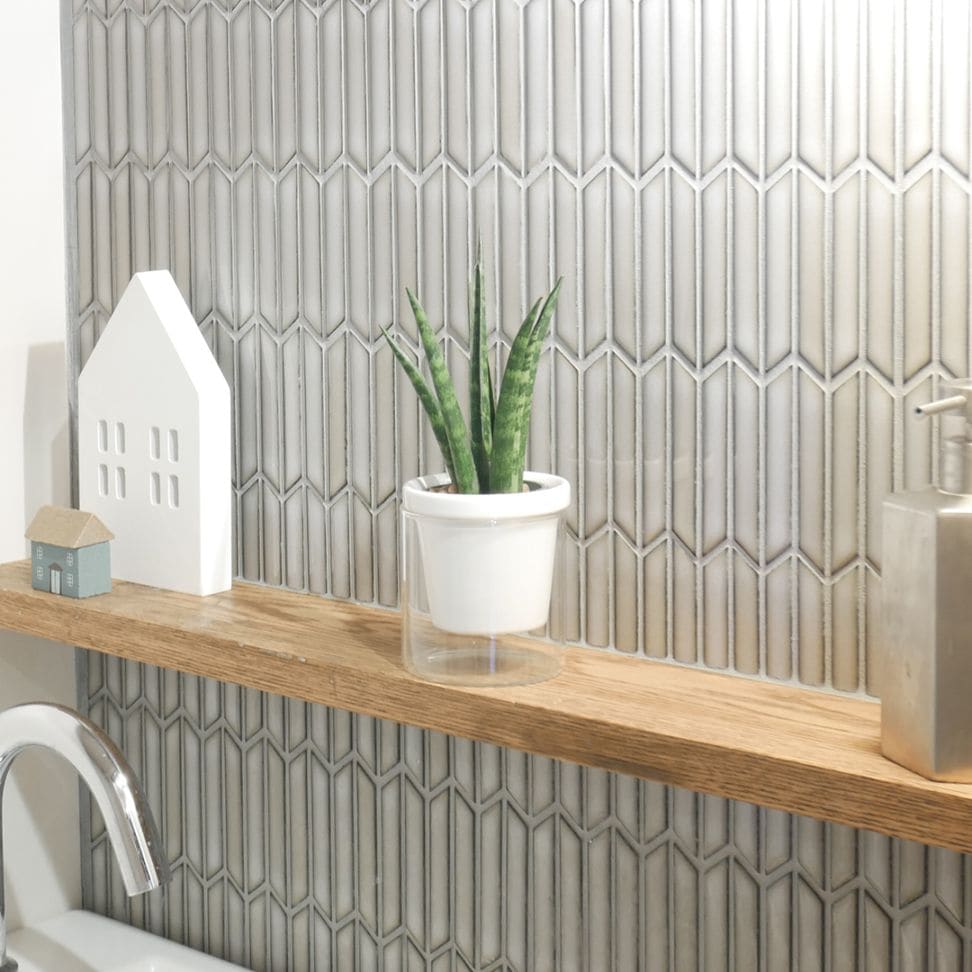 【色が選べる】NEOルーツ80【サンセベリア　ステレット】