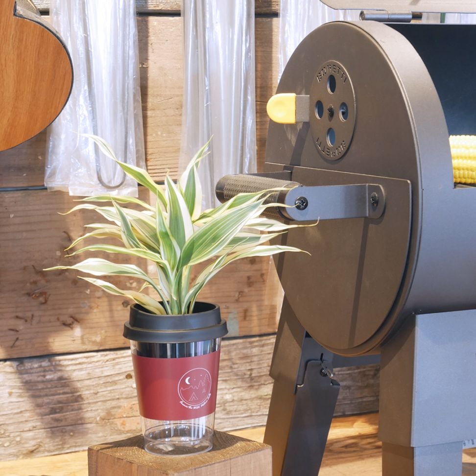 【鉢が選べる】NEOカフェカップトール【サンデリアーナ ホワイト】