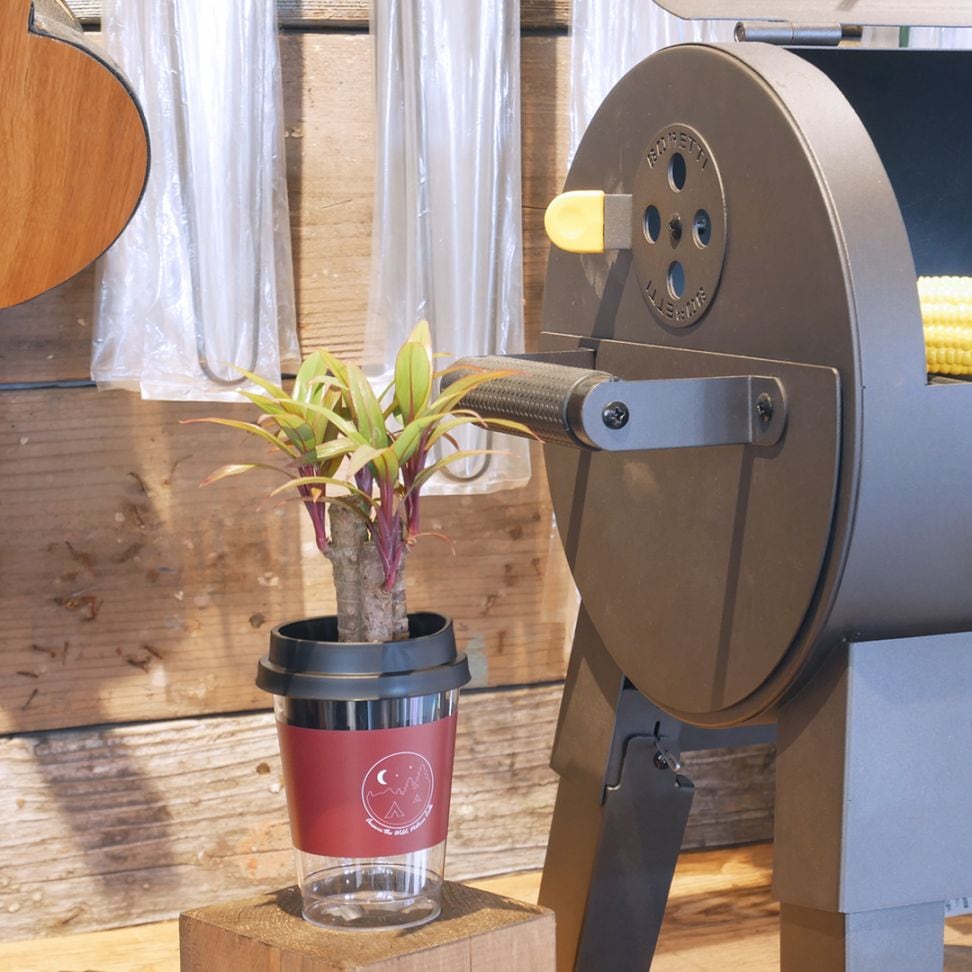 【鉢が選べる】NEOカフェカップトール【コルジリネ】