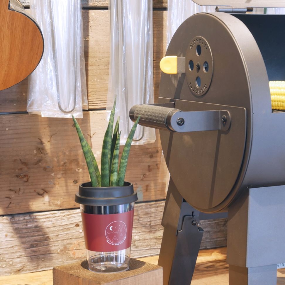 【鉢が選べる】NEOカフェカップトール【サンセベリア ステレット】