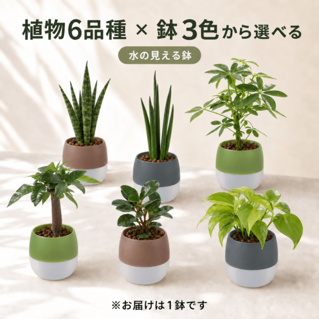 【植物６品種×鉢3色から選べる】キュートビビアースカラーシリーズ