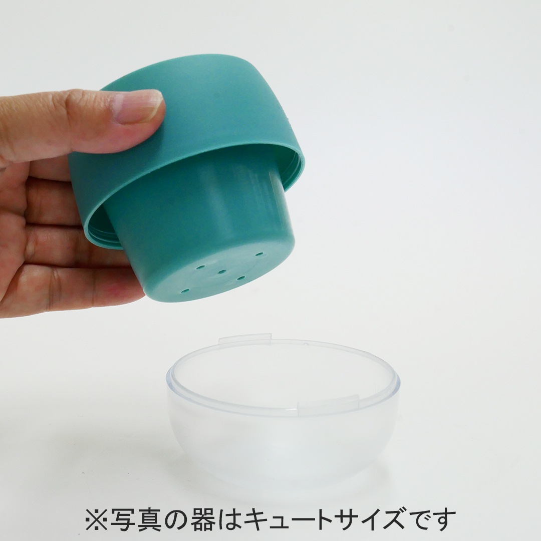 【植物選びはおまかせください♪・15色から鉢色選べる】キュートビビシリーズ