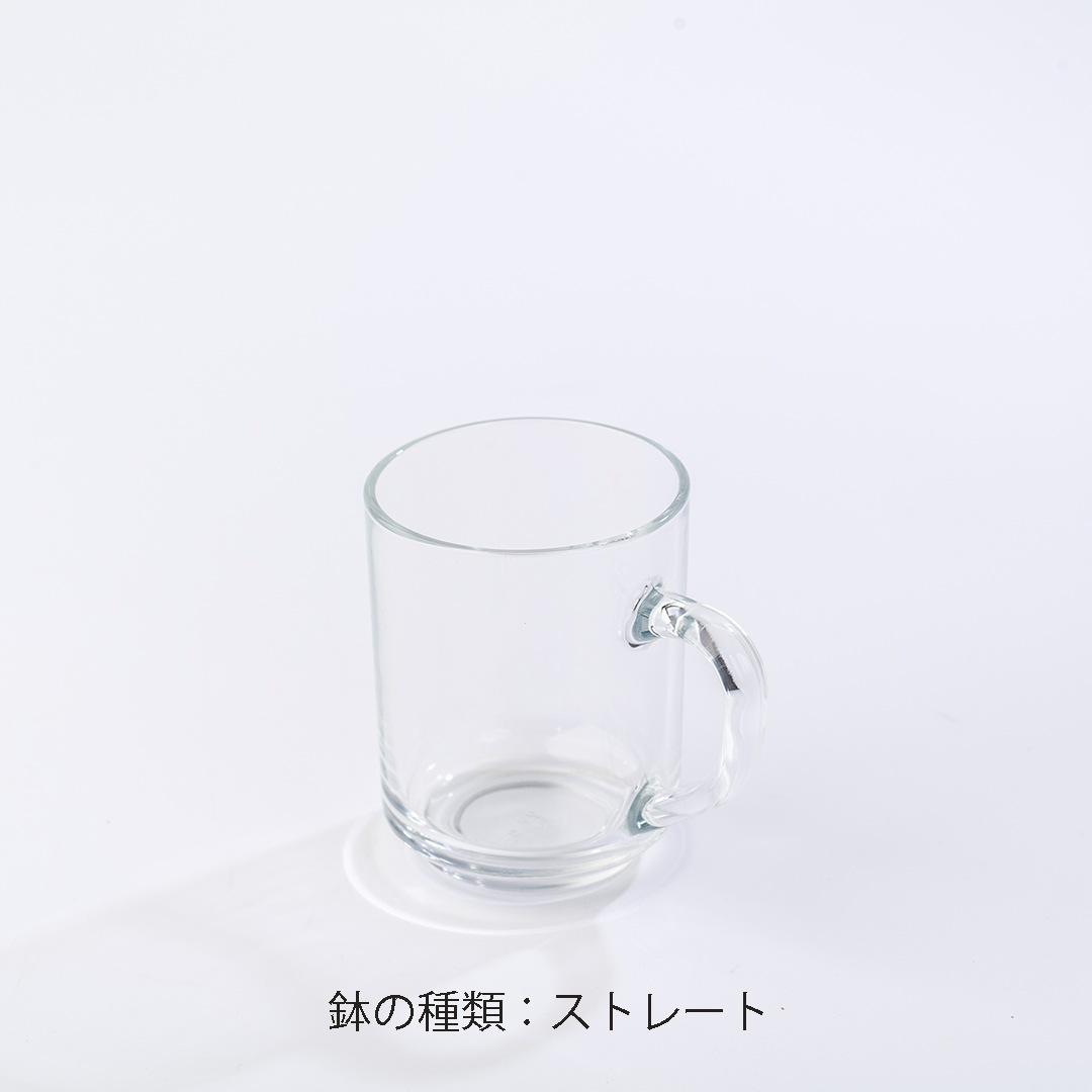 【鉢が選べる・用土が選べる】グラスマグ ピュアライト植え【ポトス マーブルクイーン】