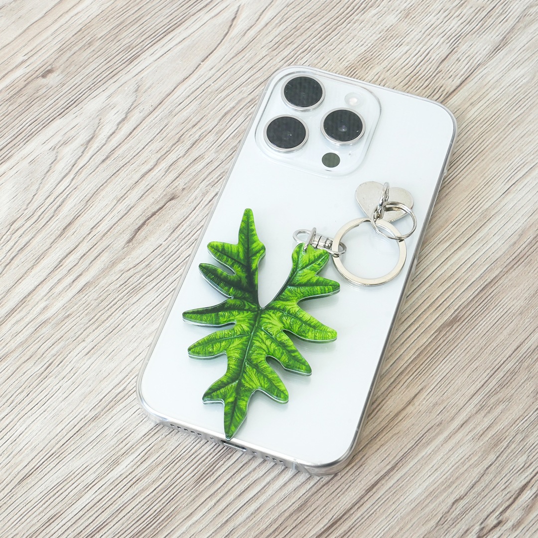 アロイドキーホルダー【アロカシア　'ジャックリン’】【メール便可】