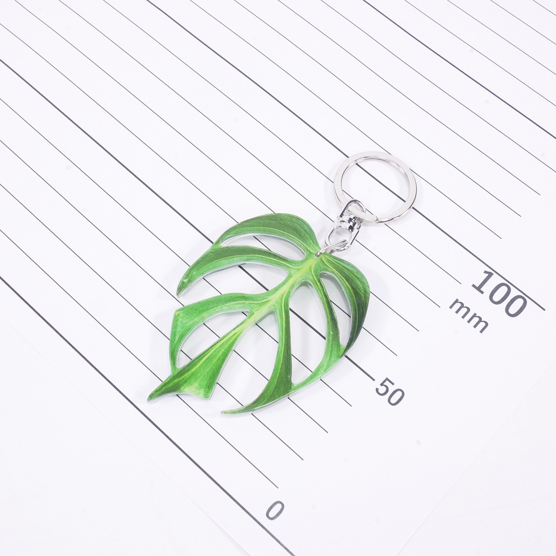 アロイドキーホルダー【モンステラ　'バールマルクス　フレーム’】【メール便可】