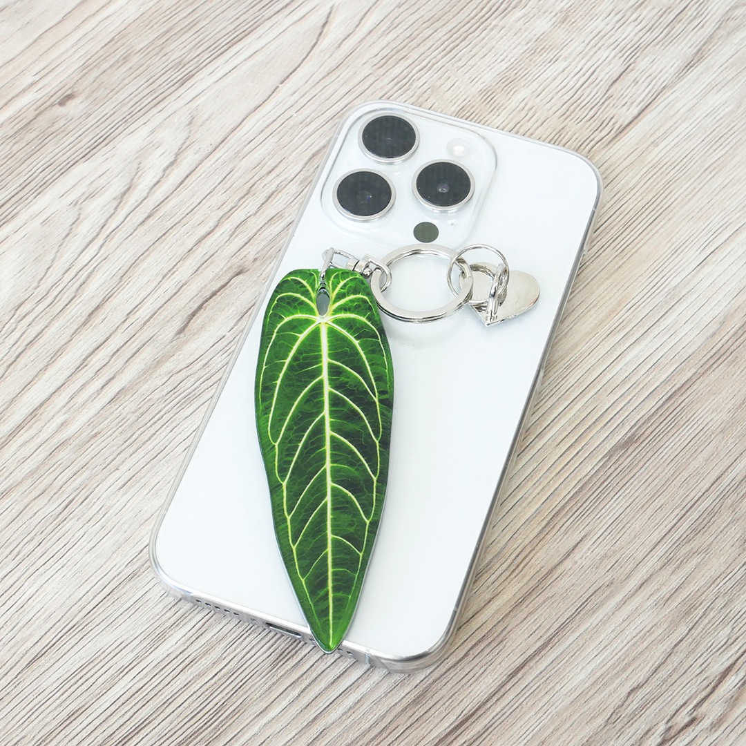 アロイドキーホルダー【アンスリウム・ワロクアナム】【メール便可】