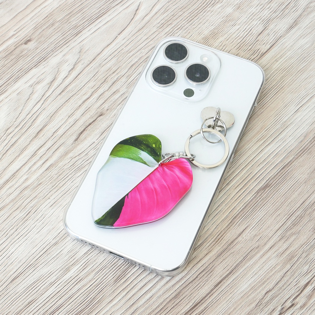 アロイドキーホルダー【フィロデンドロン　'ホワイト プリンセス’】【メール便可】