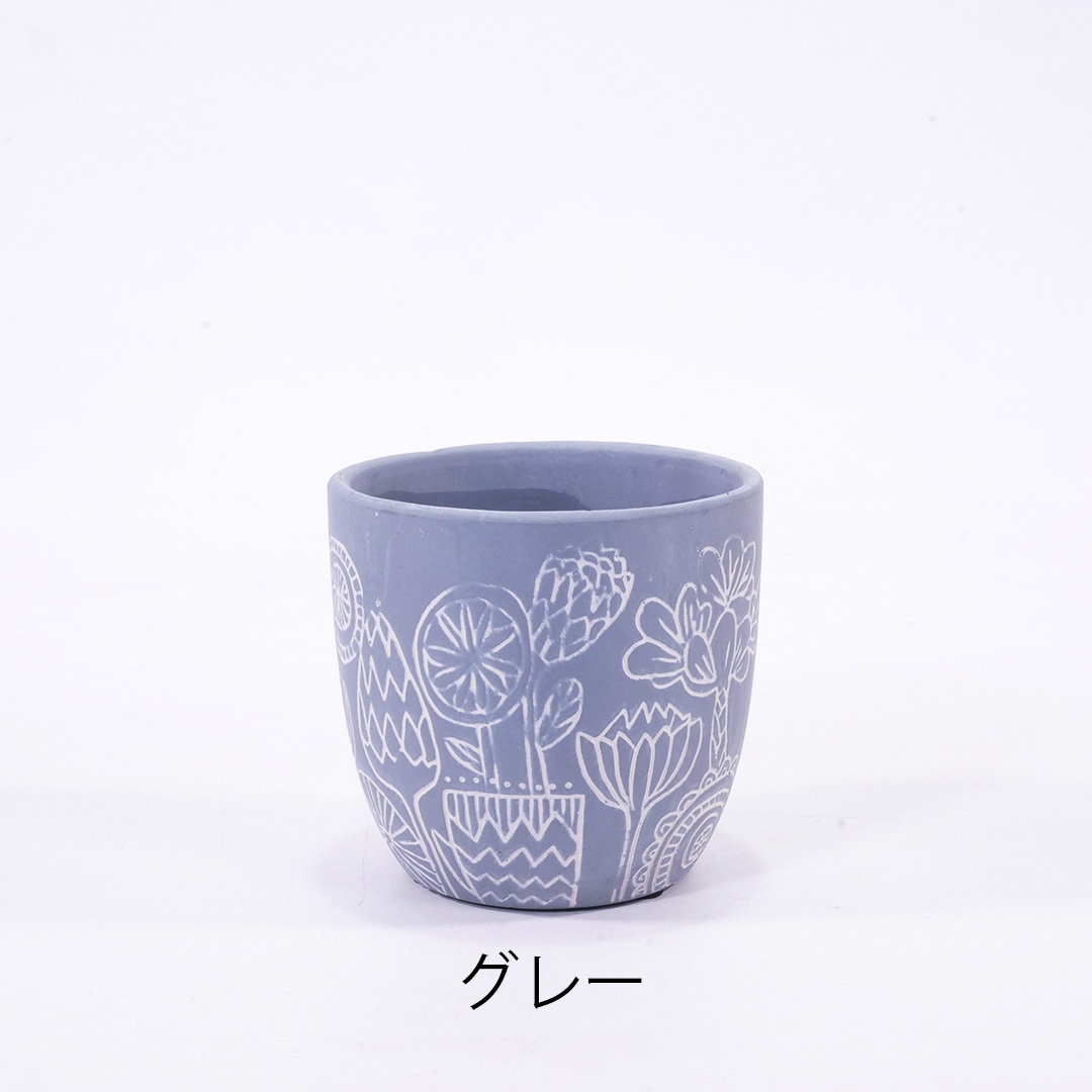 【鉢色選べる】ハイミニブルーメ 【パキラ】
