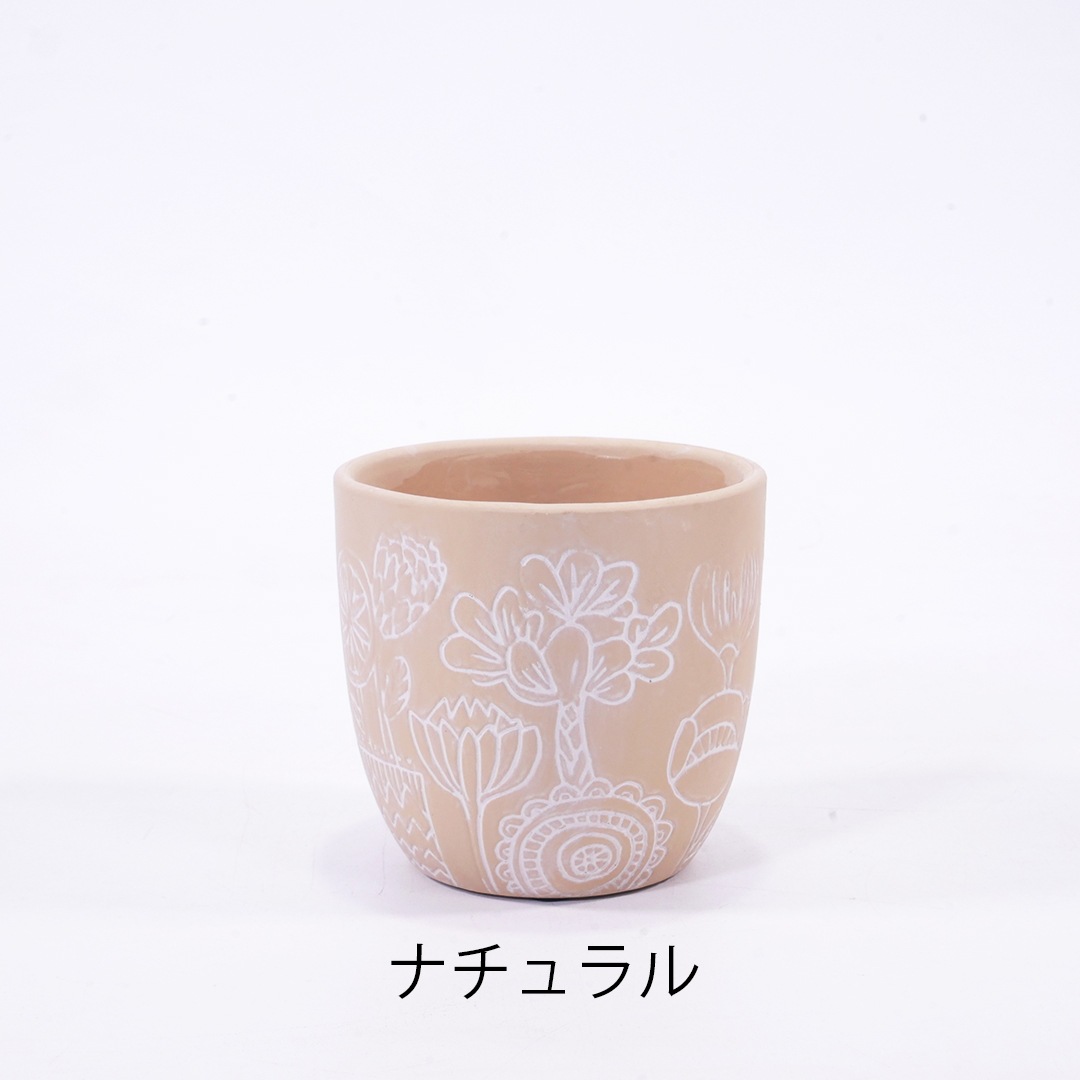 【鉢色選べる】ハイミニブルーメ　【サンデリアーナ　ホワイト】